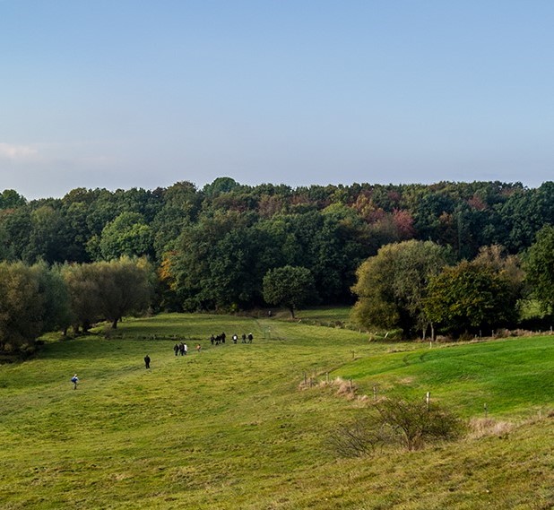 Wandeltochten in het Land van Herve