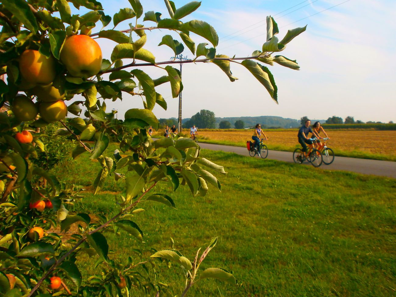 Activités au Pays de Herve: Balades à vélo