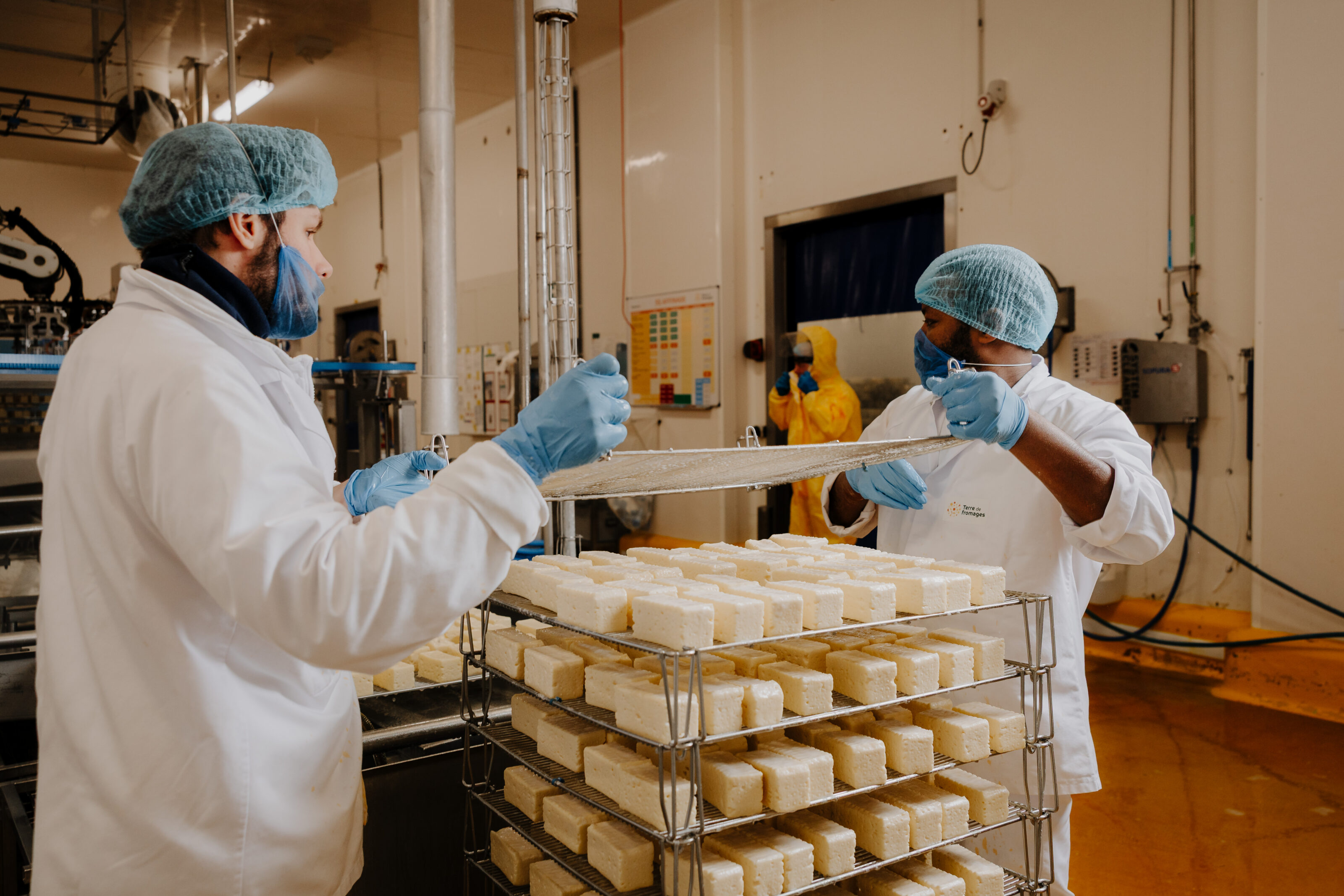 OFFRE D’EMPLOI : Pilote Affinage de fromages (H/F/X)